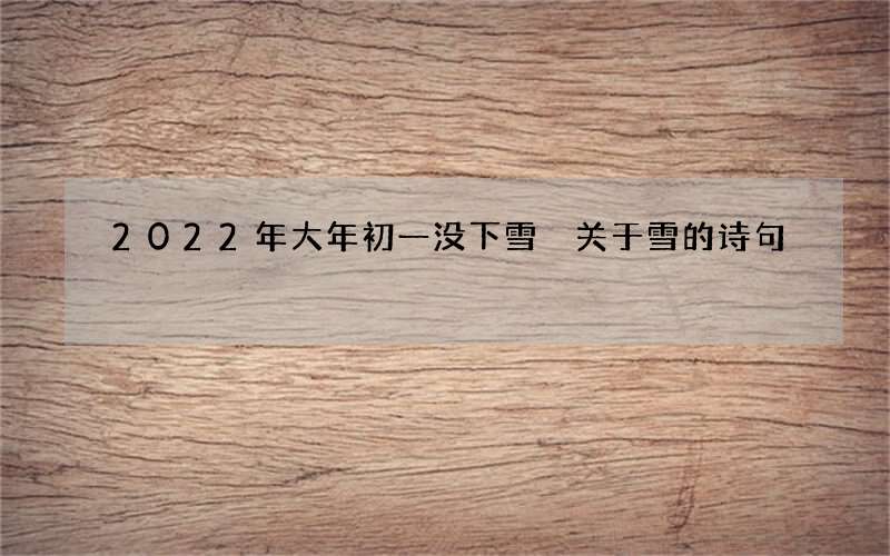2022年大年初一没下雪 关于雪的诗句